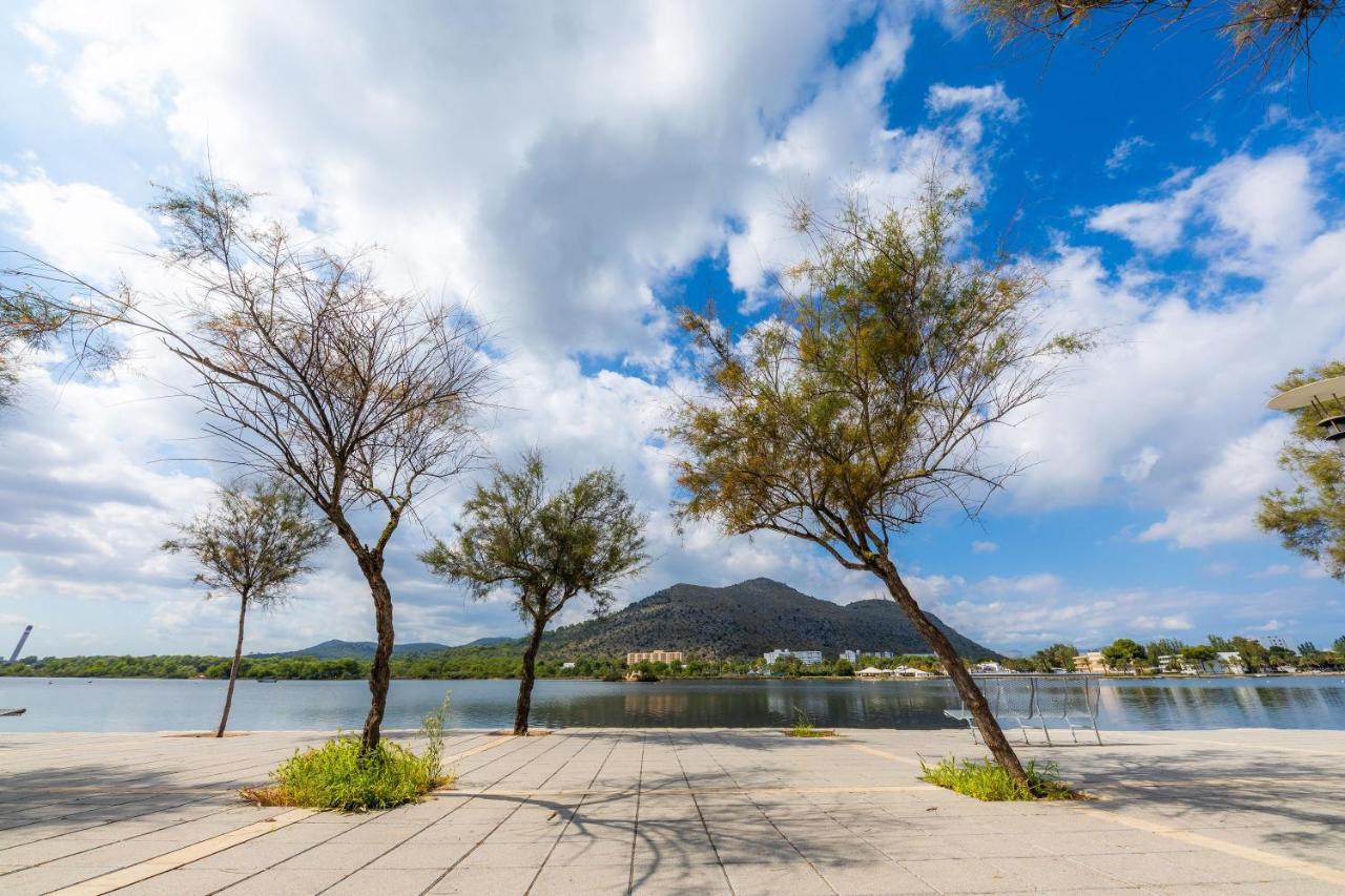 Francesc Alcúdia